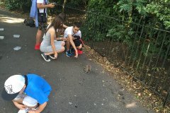 IMG_3047