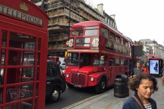 IMG_7755