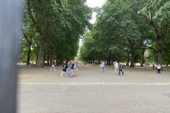 IMG_1097